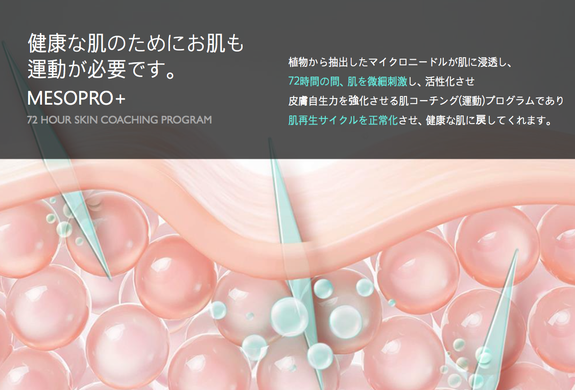 スクリーンショット 2026-09-28 13.58.00
