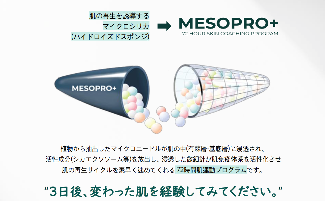 スクリーンショット 2026-09-28 14.04.29